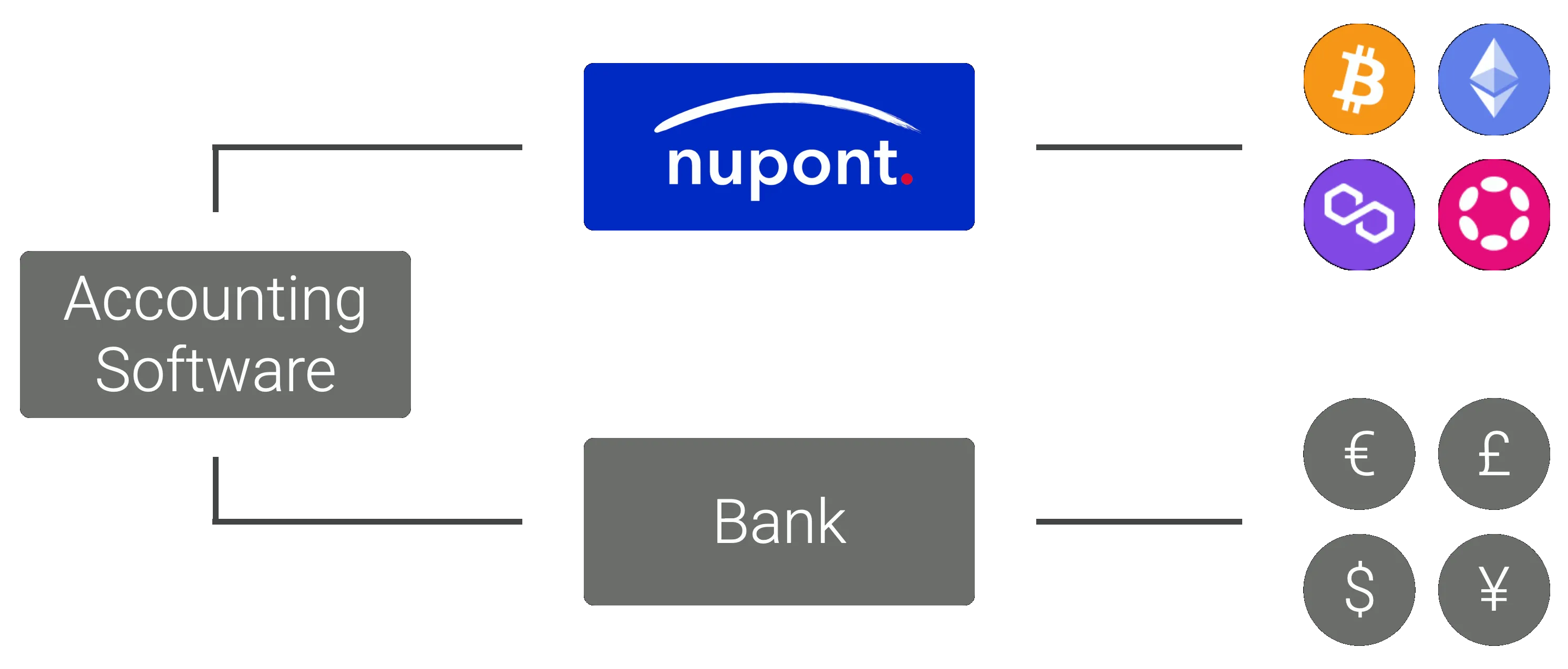 Diagram showing accounting software and a bank both connecting through nupont to crypto assets like Bitcoin, Ethereum, Polygon, and Ronin, as well as fiat currencies